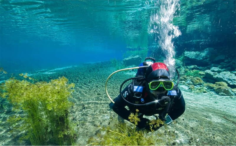 Lake Ohrid: Try Diving at the Bay of the Bones - What the Dive Experience Includes for Participants