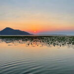 Lake Skadar Sunrise Private Tour With Guide - Key Points