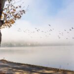 Lake Volvi Adventure: Family & Team Activities - Lake Activities: Canoe, SUP, Windsurfing, and Cycling