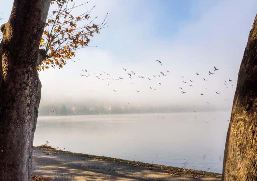 Lake Volvi Adventure: Family & Team Activities - Lake Activities: Canoe, SUP, Windsurfing, and Cycling