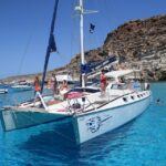 Lampedusa: Dolphin watching with aperitif at sunset - The Exclusive Sunset Aperitif on the El Condor Catamaran