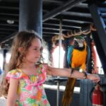 Lampedusa: Pirate Ship Boat Tour with Lunch and Music - The Wooden Galleon Experience on Galeone Adriana