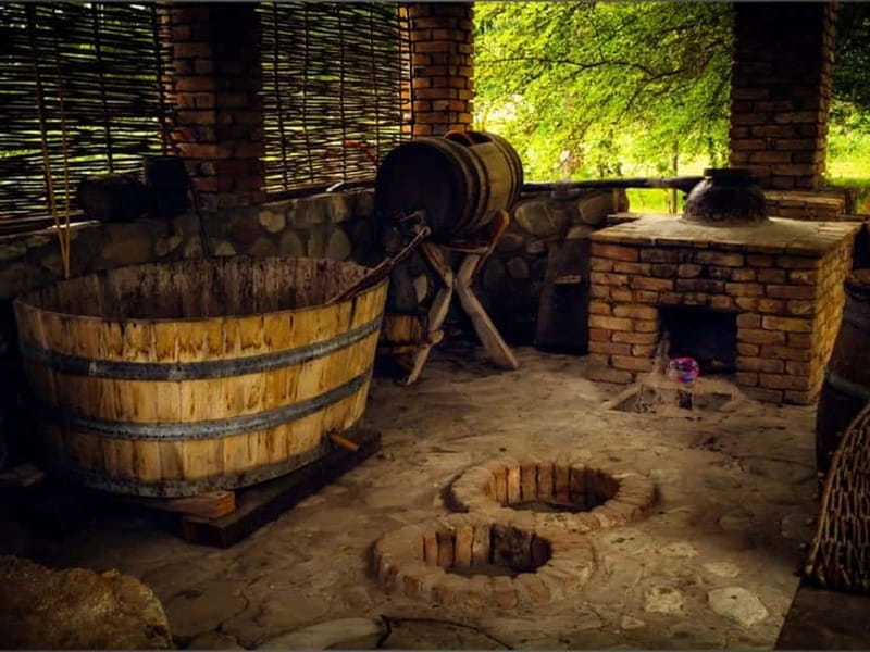 Land of the Sun Full Day Wine and Grapes Tour in Kakheti - Visiting Manavi Village for Homemade Wines and Local Delights