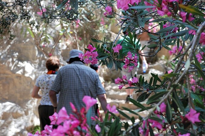 Land Rover Akamas Blue Lagoon Jeep Safari - Walking Through Avakas Gorge’s Limestone Walls