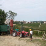 Langhe: grape seasons. Winery and vineyard tour with tasting - The Winery and Vineyard in Neive: A Family-Owned Gem