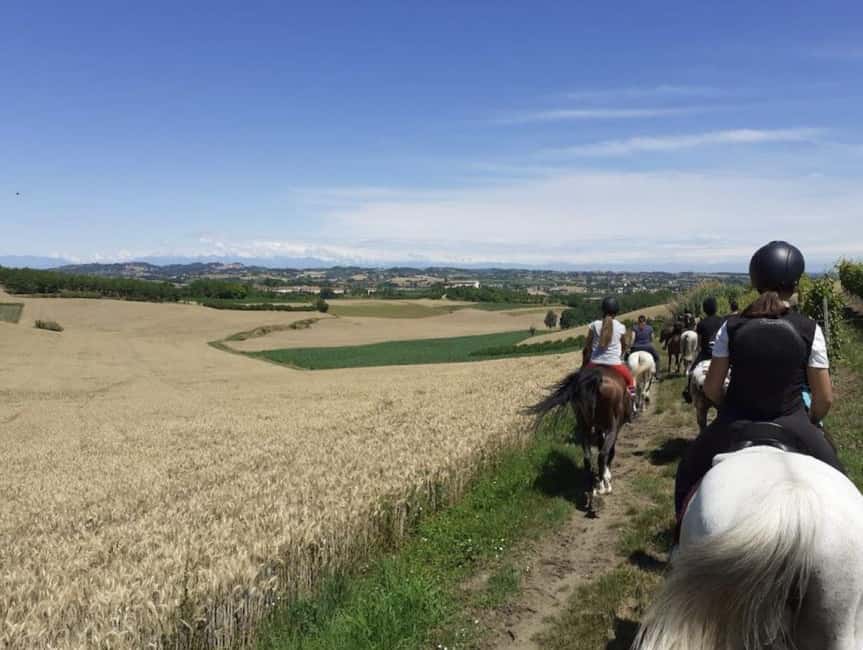 Langhe: Horse Riding in the Vineyards - Starting Point at Scuderia Serego in San Marzano Oliveto