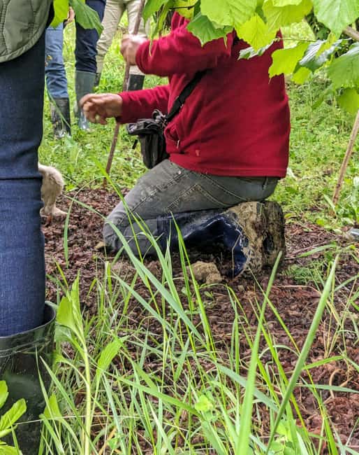 Langhe: Truffle Hunt with Local Trifulau and Dog - Meeting at Cantina Simone Scaletta in Monforte d’Alba