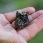 Langhe: Truffle Hunting Experience - Starting Point and Transportation Details in Alba