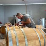 Langhe: wine tasting in the cellar and a tour of the UNESCO heritage vineyards - Sustainability and the Production Philosophy