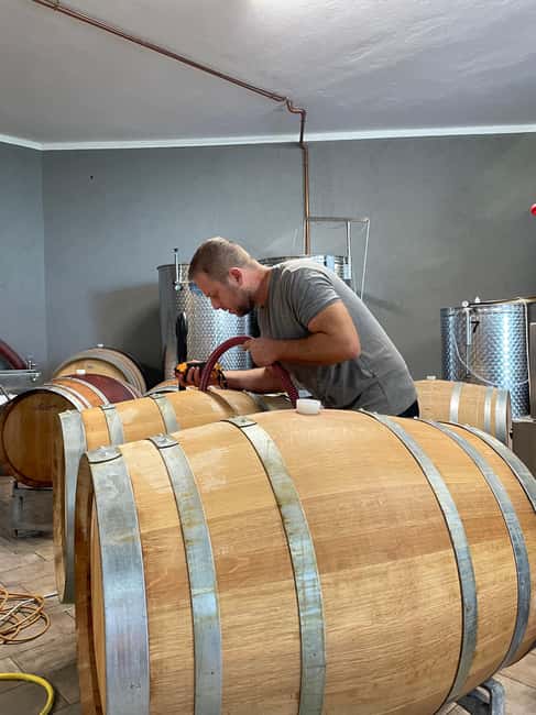 Langhe: wine tasting in the cellar and a tour of the UNESCO heritage vineyards - Sustainability and the Production Philosophy