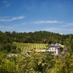 Languedoc: Terroir Tour & Tasting at Domaine de Baronarques - Exploring the Estate’s Historical Roots and Location