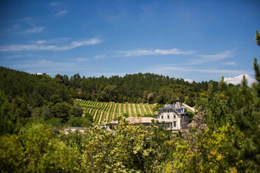 Languedoc: Terroir Tour & Tasting at Domaine de Baronarques - Exploring the Estate’s Historical Roots and Location