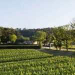 Languedoc: Tour and Tasting at Domaine de Baronarques - From the Historic Estate to the Vineyard: What You See