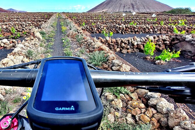 Lanzarote E-Bike Tour: Volcano Craters & Scenic Vineyards - Starting Point and Tour Logistics
