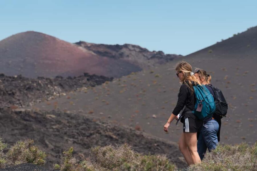 Lanzarote: Guided Hike discover volcano history and culture - Encountering Lanzarote’s Endemic Flora