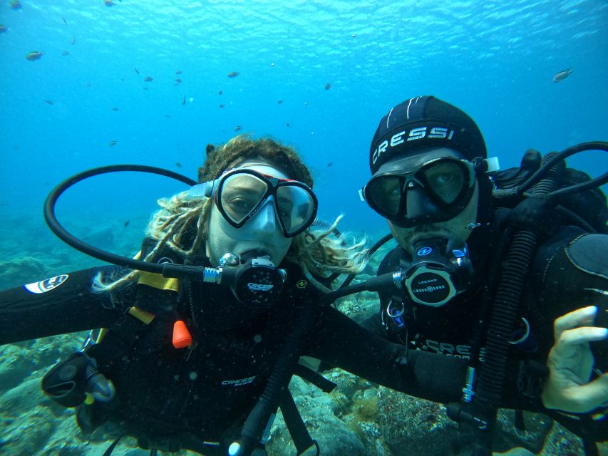 Lanzarote: Intro to Diving Experience for Beginners - How the Tour Runs from Meeting to Underwater Exploration