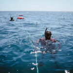 Lanzarote: Intro to Freediving Experience - What the Tour Includes