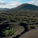 Lanzarote Island Tour (Full-day) - Jameos del Agua: Art Meets Nature