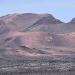 Lanzarote Short South Tour with Timanfaya Volcano Entrance - Experience at Timanfaya National Park