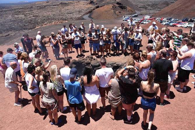 Lanzarote South Tour with Timanfaya Entrance - La Geria Wine Tasting: Savor Local Flavors