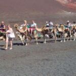 Lanzarote: Timanfaya National Park Tour - The Guided Bus Tour Through the Lava Fields