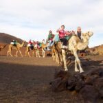 Lanzarote: Timanfaya Park and Jameos del Agua Full-Day Tour - Visiting El Golfo and the Green Lagoon