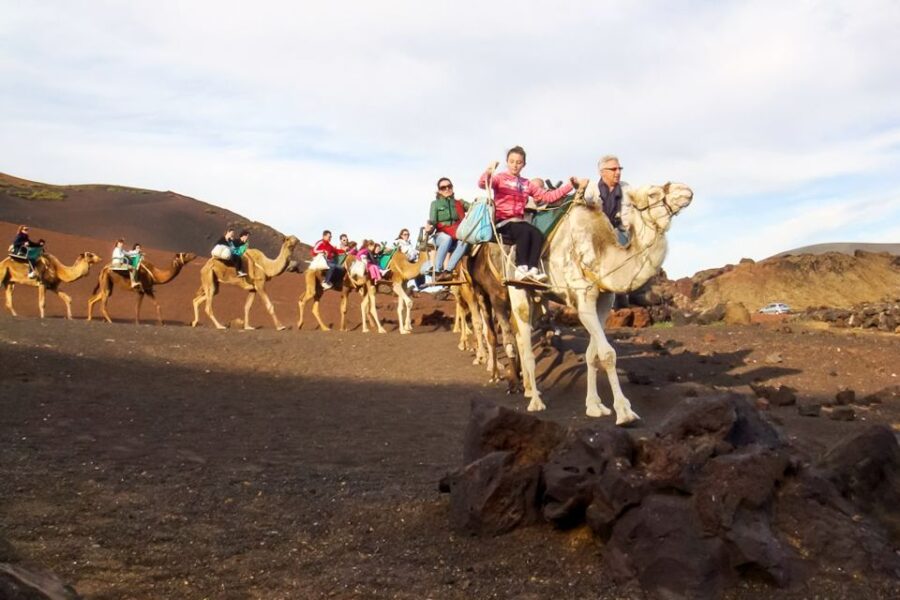 Lanzarote: Timanfaya Park and Jameos del Agua Full-Day Tour - Visiting El Golfo and the Green Lagoon
