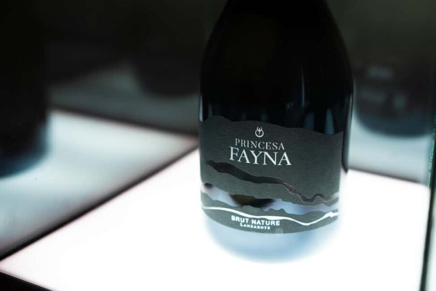 Lanzarote: Vineyard Tour & Blind Wine Tasting - Starting Point and Meeting Details at Finca Testeina