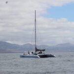 Lanzarote: Whale and Dolphin Watching Eco-Friendly Catamaran - Launching from Puerto Calero to the Atlantic Waters