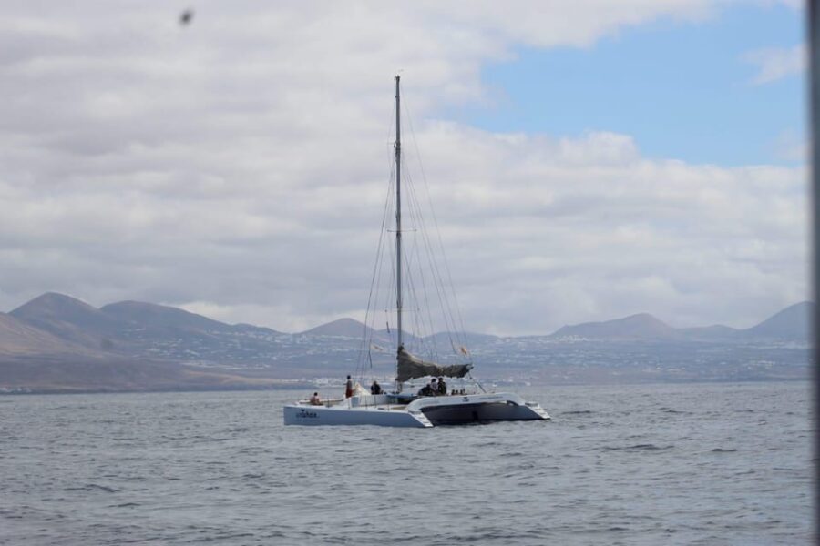 Lanzarote: Whale and Dolphin Watching Eco-Friendly Catamaran - Launching from Puerto Calero to the Atlantic Waters