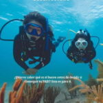 Lanzarote Your First Scuba Diving Experience - Starting Your First Dive on Lanzarote’s Beaches