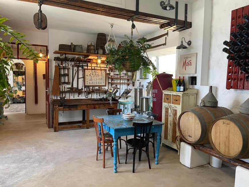 Lanzarote:"The Soul of the wine" Tour: Taste of winemaking - Visiting the Mota Family Vineyards in Lanzarote