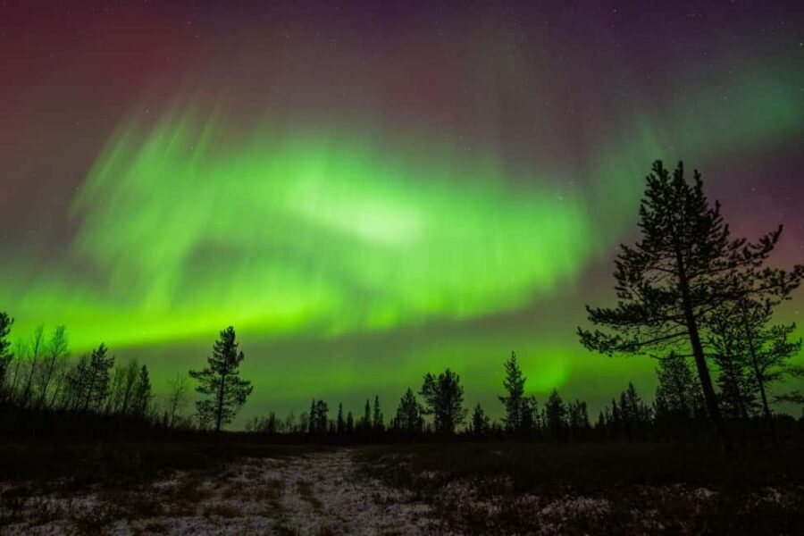 Lapland: Aurora Hunting by Minivan with Guide and Transport - The Charm of Traveling in a Cozy Minivan in Laplands Winter Wilderness