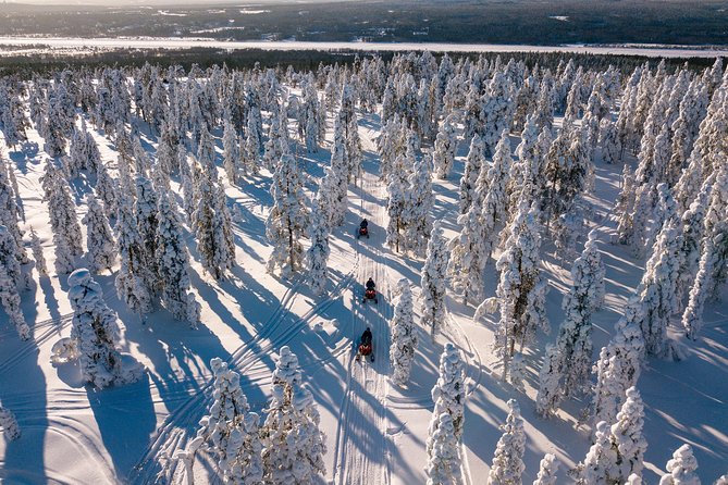 Lapland Family Snowmobile Safari from Rovaniemi - Kid-Friendly Snow Activities and Safety Measures