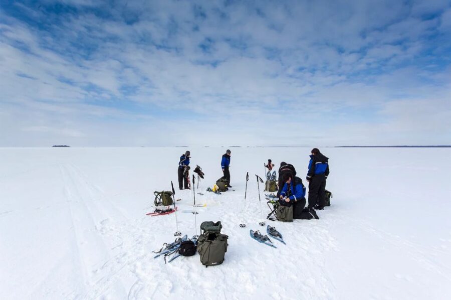 Lapland: Hiking, Ice Fishing, Floating & BBQ Snow Adventure - Mastering Ice Fishing on a Frozen Lake