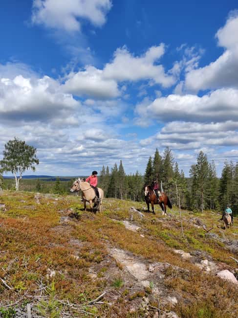 Lapland: Horse Ride to the Hill - Discover Laenlammen Fell’s Unique Landscape