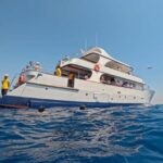 Larnaca Bay Cruise with Snorkeling - Departure from Larnaca Marina and the Boat Setup