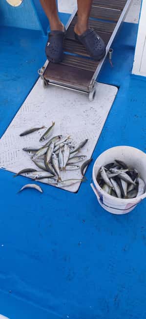 Larnaca: Private Fishing - Traditional Explorer N Vessel - The Charm of the Traditional Explorer N Vessel