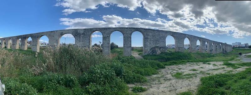 Larnaca: private guide to explore the Top-Sightseeings - Visiting the Salt Lakes and Flamingos (Seasonal Highlights)