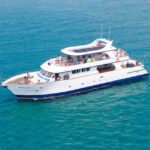 Larnaca: Relaxing Cruise with Fishing and BBQ Lunch - From the Larnaca Marina to the Mediterranean Waters