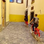 Las Palmas de Gran Canaria: Guided City Tour by Bike - The Charm of Triana Neighborhood and Santa Catalina Park