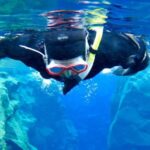 Las Palmas: Las Canteras Beach Snorkeling Trip - Meeting Point at Emoción Apnea Office on Las Canteras Beach