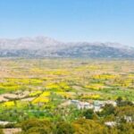 Lasithi and Mythology Park Tour - The Lasithi Plateau: Windmills and Village Life