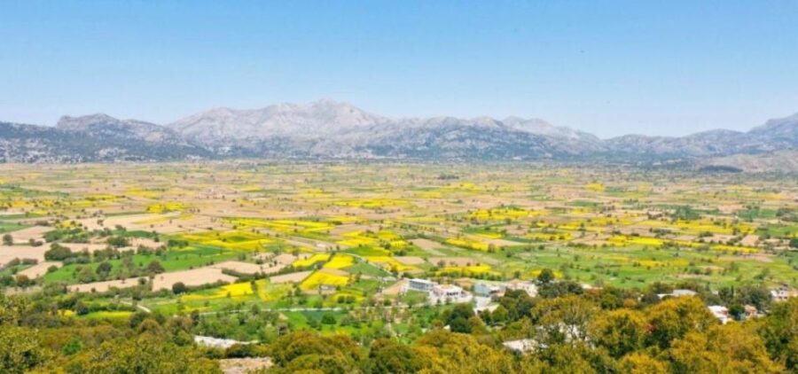 Lasithi and Mythology Park Tour - The Lasithi Plateau: Windmills and Village Life