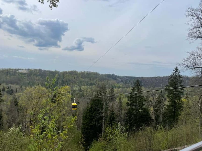 Latvian Summer Bobsleigh, Cable Car & Round Transportation - The Thrill of the Summer Bobsleigh Ride in Latvia