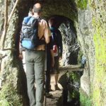 Laurissilva Forest Walk - Exploring the Levada from Ribeiro Frio to Portela