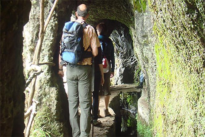 Laurissilva Forest Walk - Exploring the Levada from Ribeiro Frio to Portela