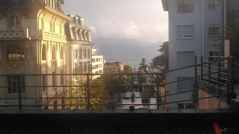 Lausanne: Cultural and Historical Guided Walking Tour - Exploring Lausanne’s Iconic Landmarks