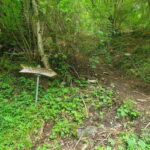 Lauterbrunnen: Private Walking Tour with an Irish Guide - The Unique Charm of a Private Tour in Lauterbrunnen