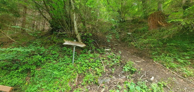 Lauterbrunnen: Private Walking Tour with an Irish Guide - The Unique Charm of a Private Tour in Lauterbrunnen
